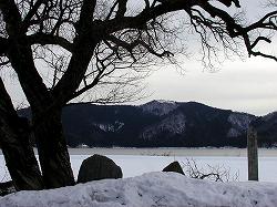 20060120kohoku (7).jpg